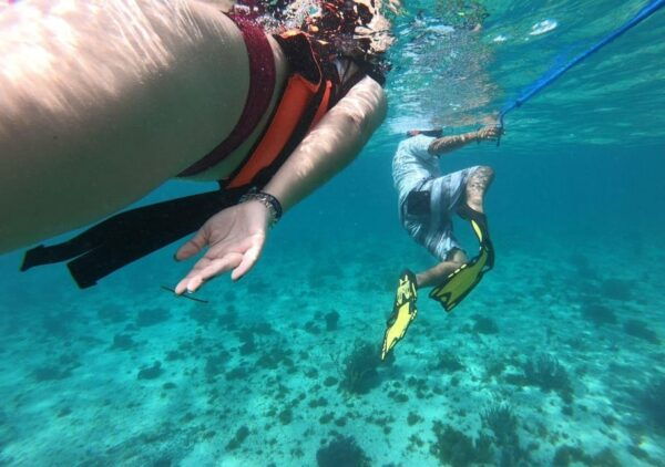 Cancun: Swim and Snorkel With Whale Sharks, Includes Snacks - Important Tour Details and Considerations