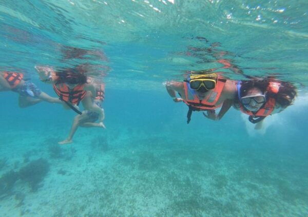 Cancun: Swim and Snorkel With Whale Sharks, Includes Snacks - Frequently Asked Questions