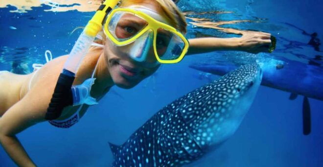 Cancun: Swim Next to Whale Shark - Safety Measures