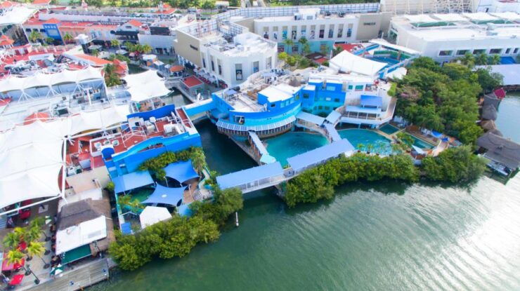 Cancún: Swim With Dolphins at Interactive Aquarium Cancún - Booking Information