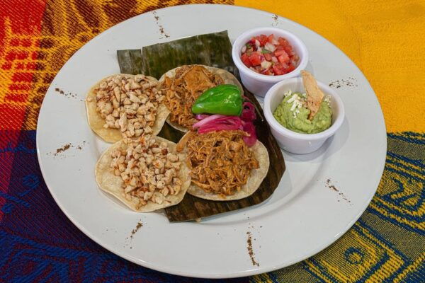 Cancun: Taste of Mexico Market Tour With Tacos & Tequila - Tequila Tasting Session