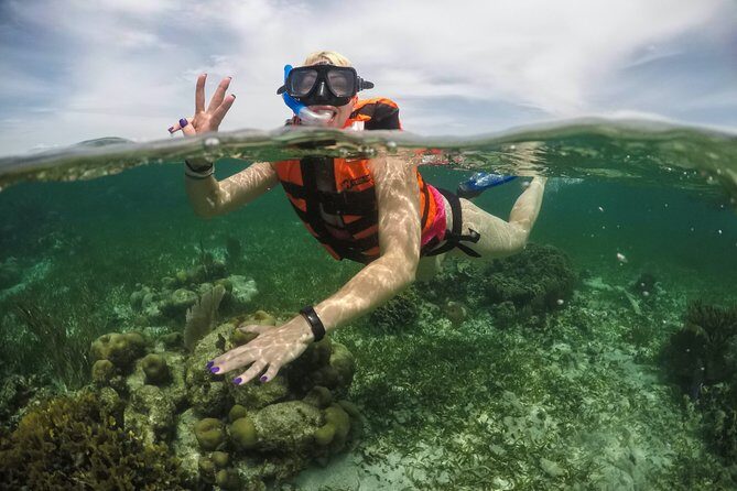 Cancun to isla mujeres catamaran sailing - The Sum Up