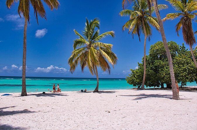 Cancun to Playa del Carmen private transfer, with option to stop - Real Insights from Travelers