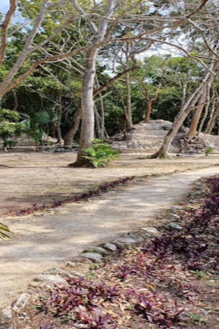 Cancun: Tour to Chichén Itzá and Valladolid - Chichén Itzá Highlights
