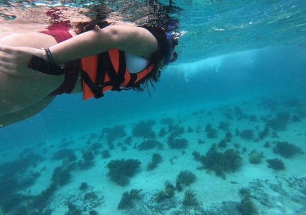 Cancun: Tour to Isla Mujeres in Catamaran With Snorkel - Weather and Activities