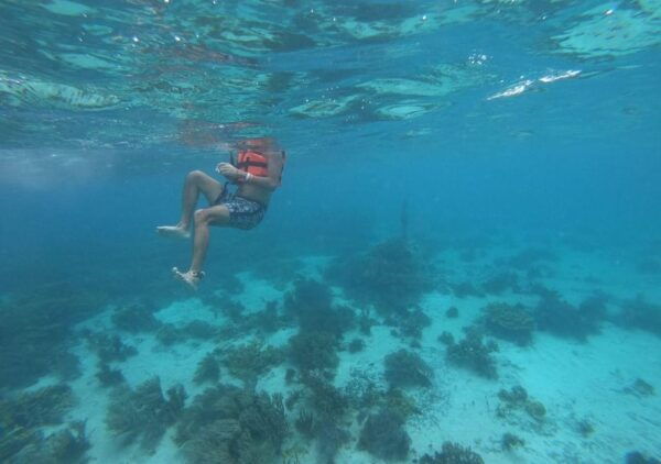 Cancun: Tour to Isla Mujeres in Catamaran With Snorkel - Transportation Options