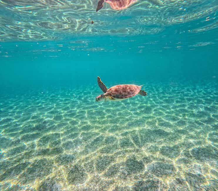 Cancun: Tulum Ruins, Akumal Turtles, Cenote & Caves Tour - Discovering the Riviera Maya: Tulum Ruins, Akumal Turtles, Cenote & Caves Tour