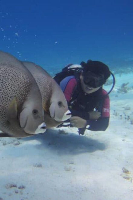 Cancun: Two Reef Dives – Isla Mujeres - Flexible Booking