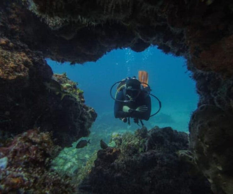 Cancun: Two Reef Dives – Punta Cancun - Good To Know