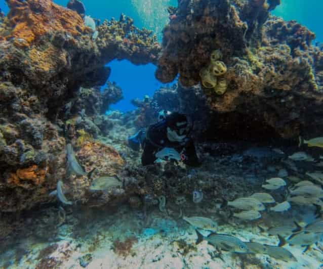 Cancun: Two Reef Dives – Punta Cancun - Ideal Dive Site Locations