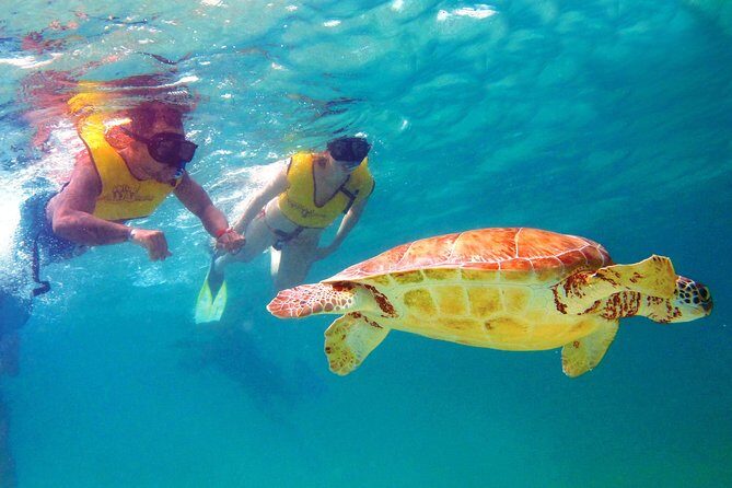 Cancun Ultimate Adventure: ATV's, Snorkeling & Zip Lines - FAQs