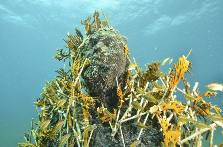 Cancún: Underwater Museum & Reef for Certified Scuba Divers - Inclusions