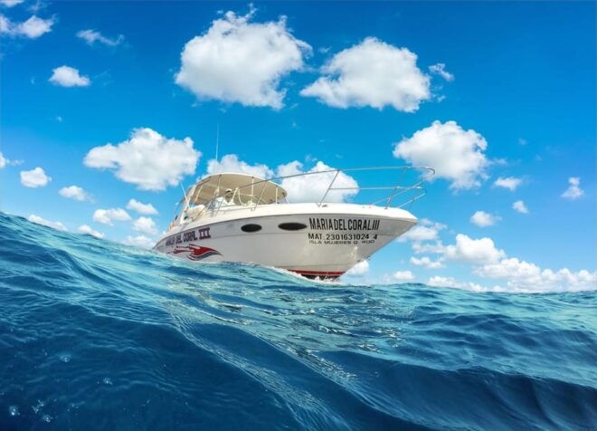 Cancun Whale Shark Experience With Snorkel & Transportation - Boat Cruise and Snorkeling
