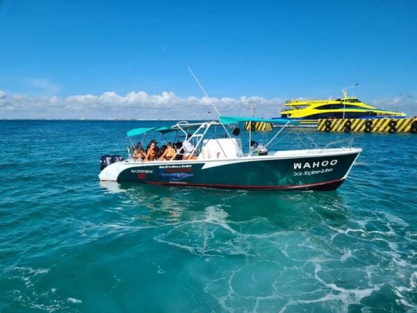 Cancun Whale Shark Experience With Snorkel & Transportation - Additional Activities and Amenities