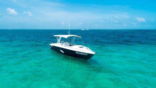 Cancun: Whale Shark Snorkeling Experience - Booking and Cancellation Policy