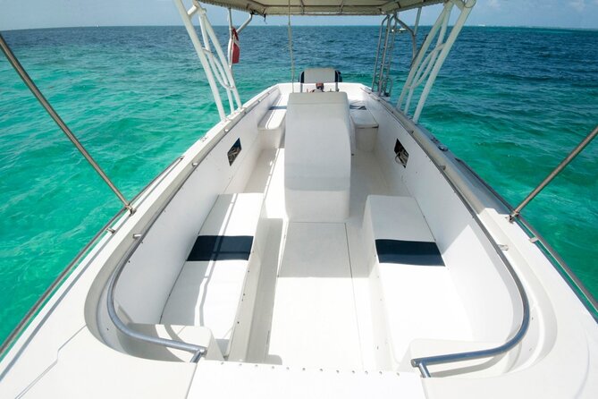 Cancun Whale Shark Tour With Transportation - Local Organization and Efforts