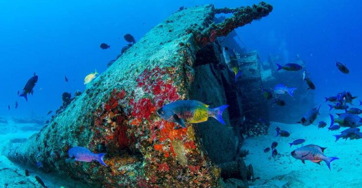 Cancún: Wreck and Reef for Certified Scuba Divers - Scuba Diving in Cancún