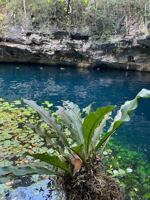 Cancun: Xenotes Adventure Tour - Experience and Activities
