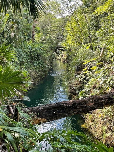 Cancun: Xenotes Adventure Tour - Inclusions