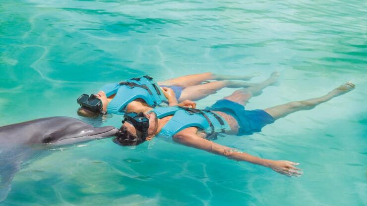 Cancun:Dolphin Diamond Experience With Buffet and Water Park - Good To Know