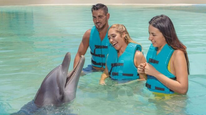 Cancun:Dolphin Diamond Experience With Buffet and Water Park - Inclusions