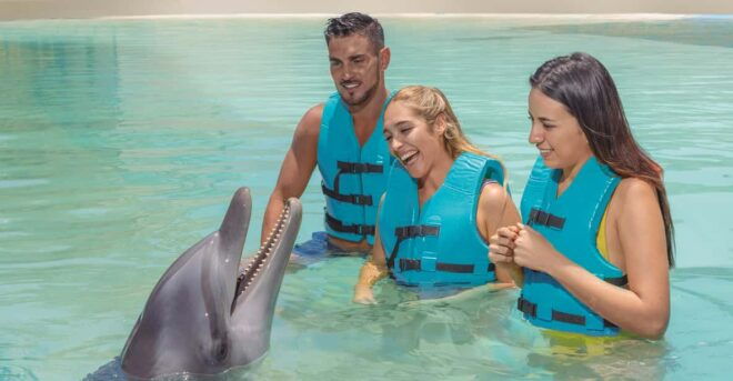 Cancun:Dolphin Diamond Experience With Buffet and Water Park - What to Bring