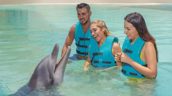 Cancun:Dolphin Diamond Experience With Buffet and Water Park - Reservation Policy