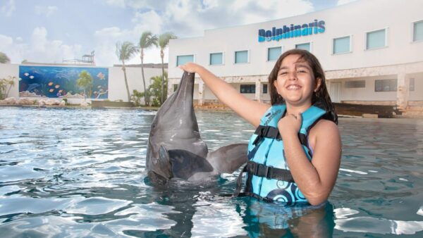 Cancun:Dolphin Diamond Experience With Buffet and Water Park - Cancellation Policy