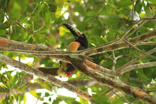 Cancun:Zip Lines, ATVs, Horseback & Cenote Loma Bonita Combo - Capture Memorable Moments