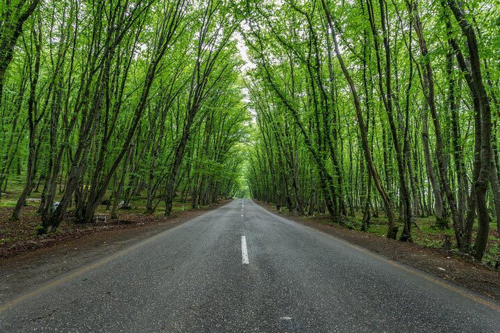 Candy Cane Mountains & Shahdag Mountain Resort One-day Mountain & Nature Tour - Lunch and shopping: plan your spending