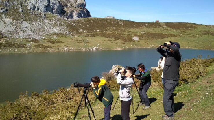 Cangas De Onís: Lakes of Covadonga Guided Tour - Experience Highlights