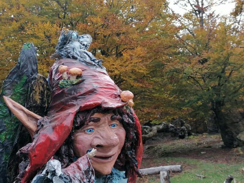 Cangas de Onís: Route in the Vegabaño Forest with lunch at a mountain refuge - Good To Know