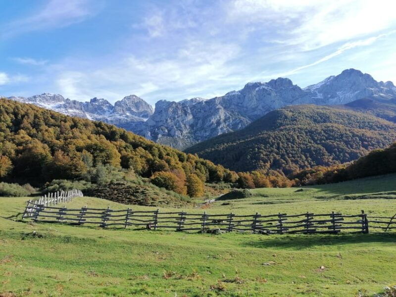 Cangas De Onís: Route in Vegabaño Forest With Lunch in a Mountain Refuge. - Important Information