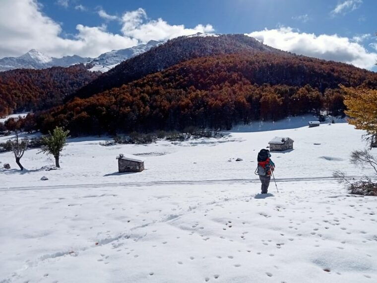Cangas De Onís: Route in Vegabaño Forest With Lunch in a Mountain Refuge. - Starting Location and Meeting Point