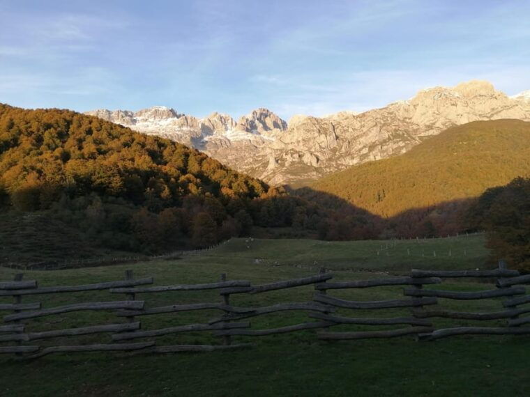 Cangas De Onís: Route in Vegabaño Forest With Lunch in a Mountain Refuge. - Common Questions