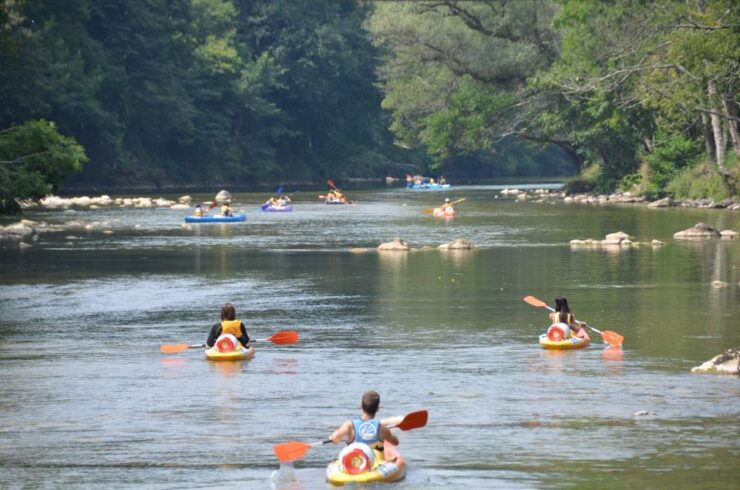 Cangas De Onís: Sella River Canoeing Adventure - Experience Highlights