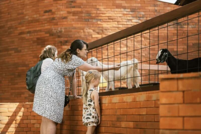 Canggu: Entry Ticket to Mai Main Indoor Playground - Who Will Love This Experience?