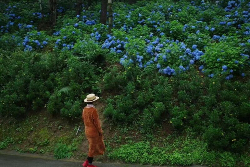 Cangshan Mountain: Mindful Hiking and Organic Homemade Food - What Makes This Tour Stand Out