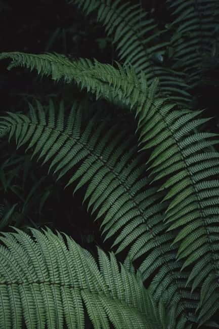 Cangshan Mountain: Mindful Hiking and Organic Homemade Food - Who Will Love This Experience