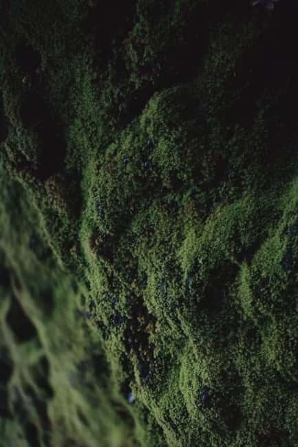 Cangshan Mountain: Mindful Hiking and Organic Homemade Food - The Sum Up