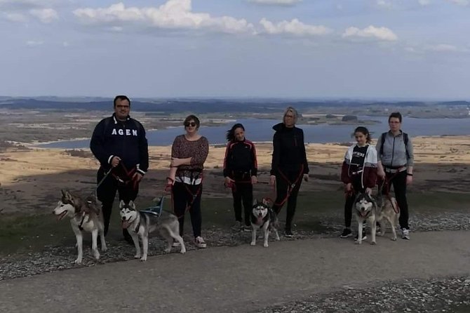 Cani Rando, Fun and Original Hiking, Pulled by Huskies - Activity Overview