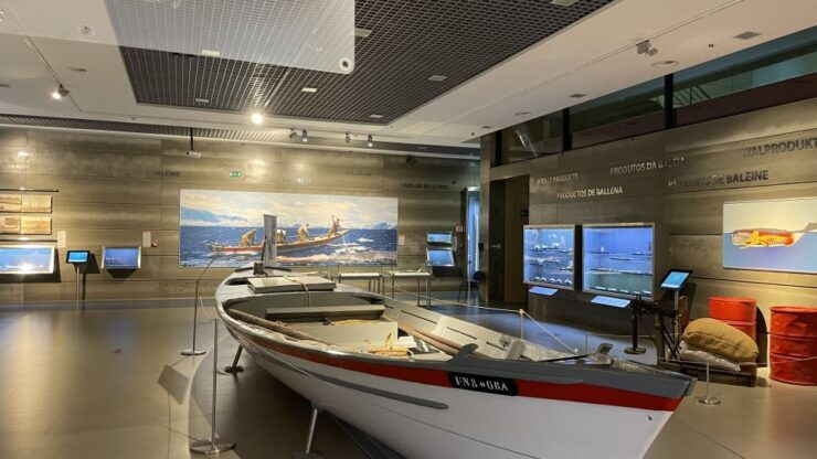 Caniçal: Madeira Whale Museum Entry Ticket and Private Tour - Booking Information