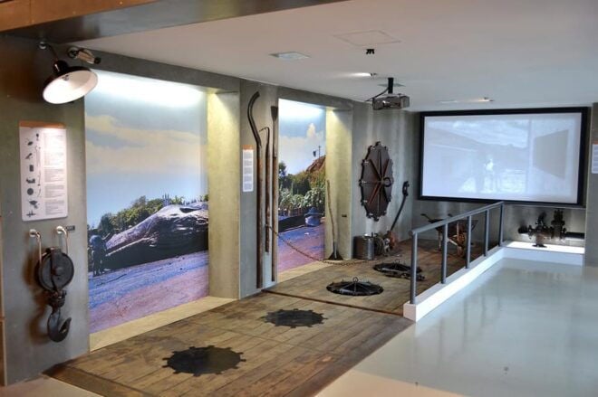 Caniçal: Madeira Whale Museum Entry Ticket - Interactive Experiences Available