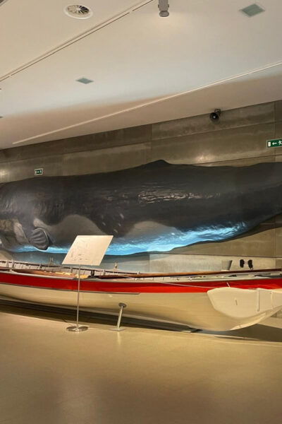 Caniçal: Madeira Whale Museum Entry Ticket - Visitor Accessibility Features