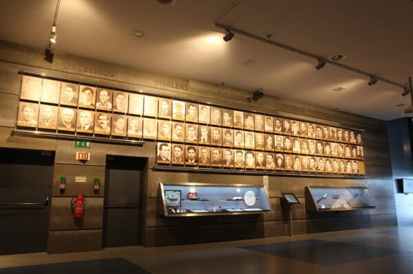 Caniçal: Madeira Whale Museum Entry Ticket - Frequently Asked Questions