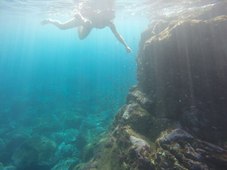 Caniço: Garajau Nature Reserve Guided Snorkeling Tour - Tour Details