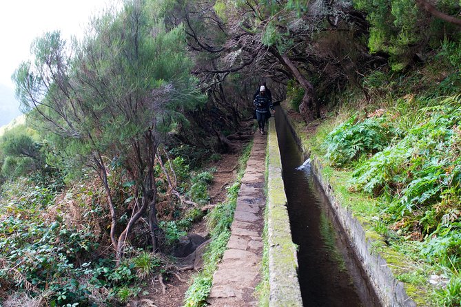 Canico Small-Group Hiking Tour to Rabacal  - Funchal - Pricing and Reservation
