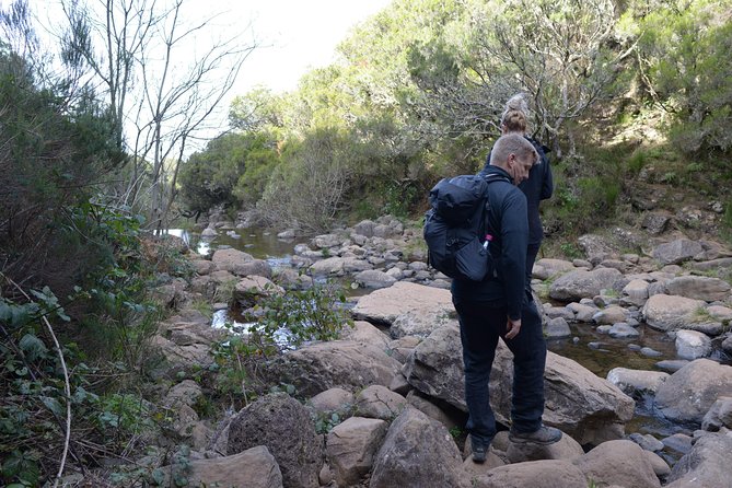 Canico Small-Group Hiking Tour to Rabacal  - Funchal - Excursion Overview