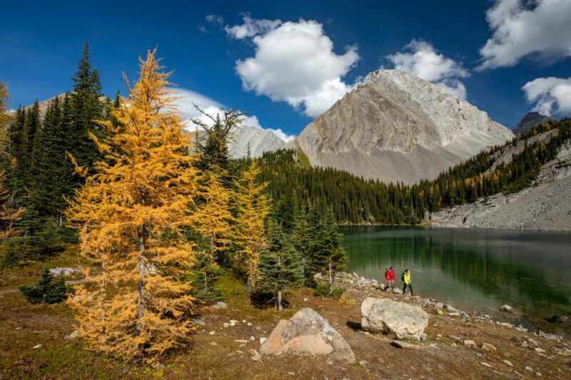 Canmore: 3 Hour Local Explorer Tour and Hike with a Guide - The Best for Whom?
