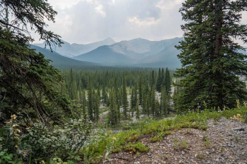 Canmore: 3 Hour Local Explorer Tour and Hike with a Guide - Frequently Asked Questions